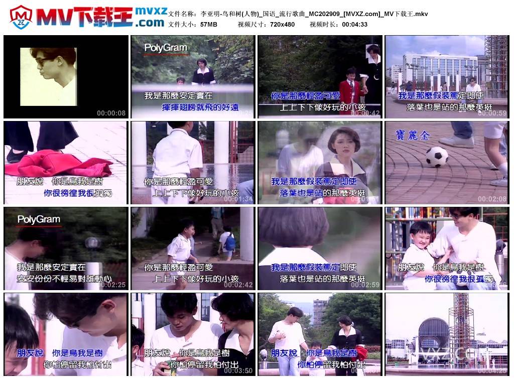 李亚明-鸟和树(人物)_国语_流行歌曲_MC202909